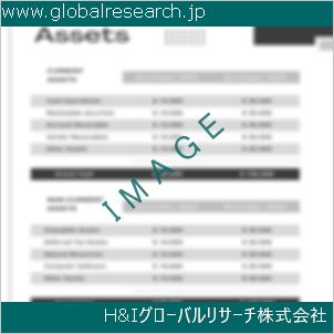 グローバルリサーチ調査資料のイメージ